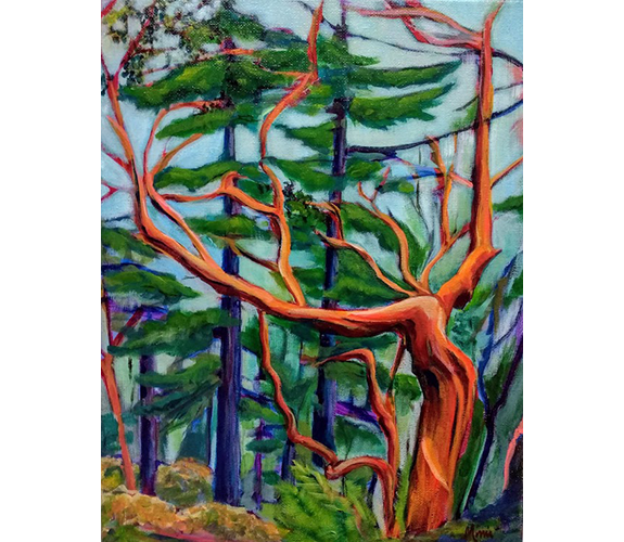 "Madrone at Dosewallips" by Mimi Williams